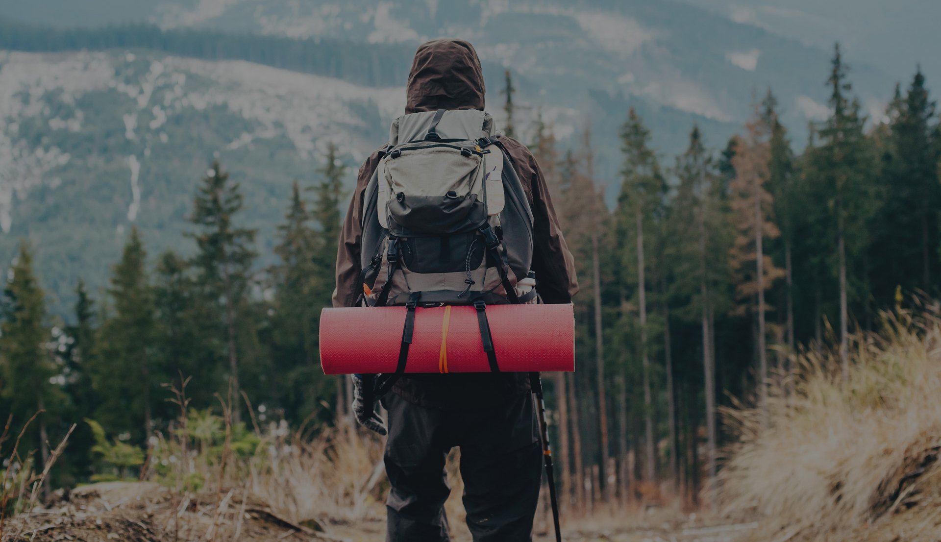 Your AI Wilderness Guide